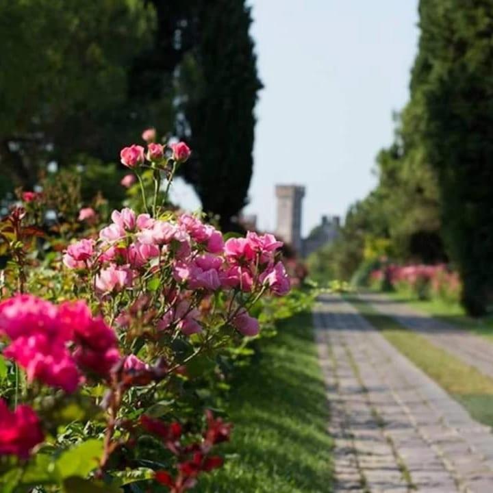 Casaflora_Corteventurelli31 فاليجيو سول مينشيو المظهر الخارجي الصورة
