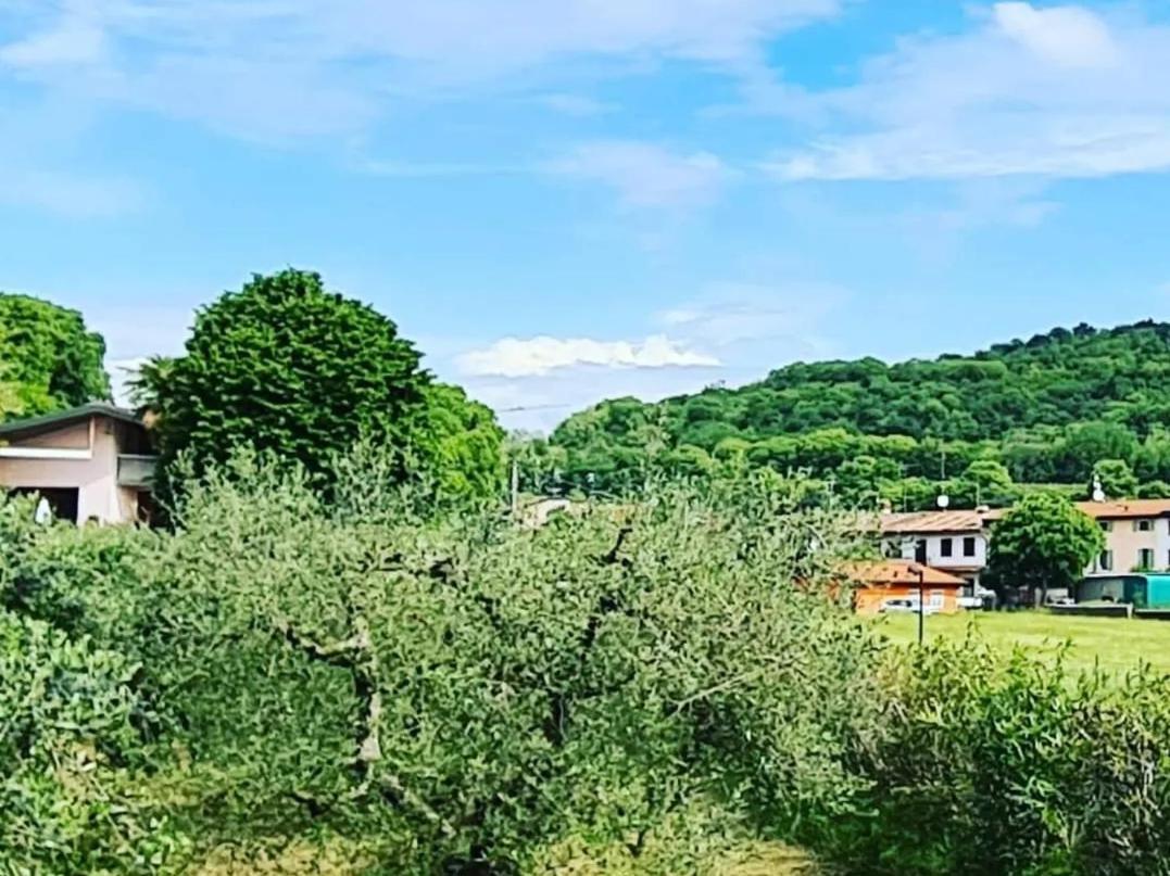 Casaflora_Corteventurelli31 فاليجيو سول مينشيو المظهر الخارجي الصورة